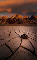 p david miller photography