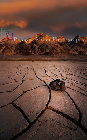 p david miller photography