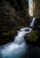 p david miller photography