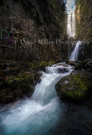 p david miller photography