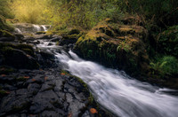 p david miller photography