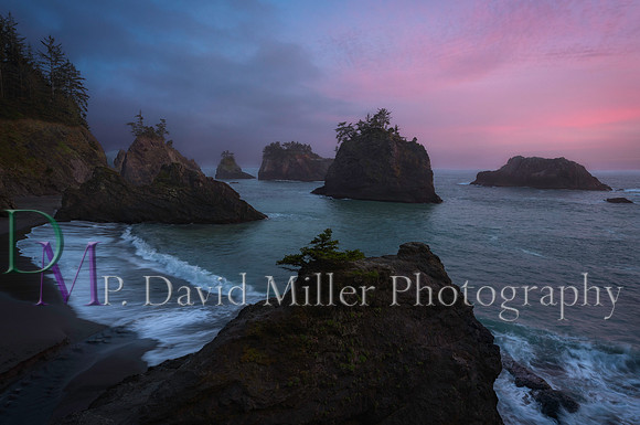 p david miller photography