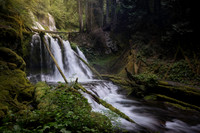 p david miller photography