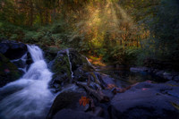 p david miller photography