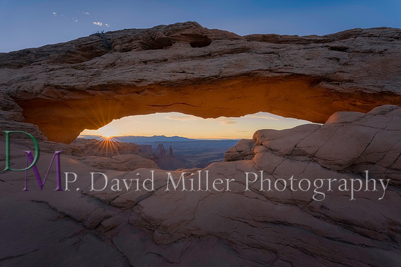 p david miller photography