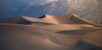 p david miller photography
