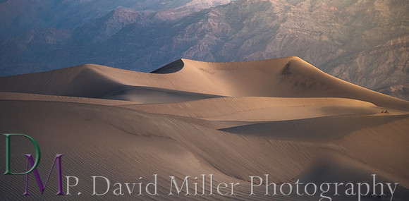 p david miller photography