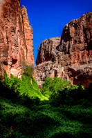 The desert canyon walls filled with verdant plant life...quite a lovely contrast.
